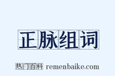 正脉组词是什么意思的图片